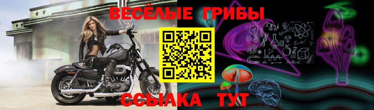 Галлюциногенные грибы ЛСД Южноуральск